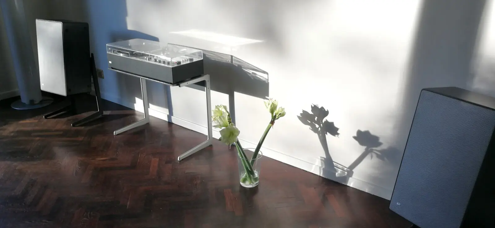 audio 310 & Kangaroo anthrazit