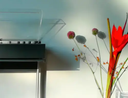 audio 310 black & kangaroo