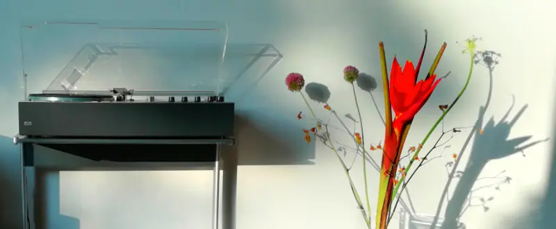 Braun audio 310 antracite on kangaroo hifi side table